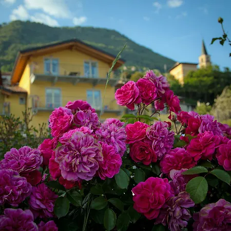 Aparthotel La Collina